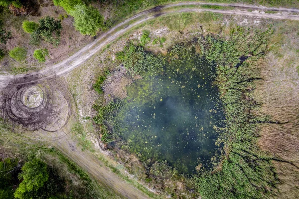 Drone High Angle View Small Pond Forest Jaczew Village Masovia — Stock Photo, Image