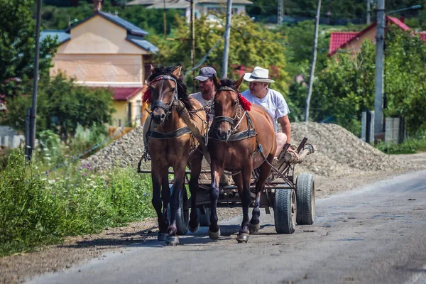 Bukowina Rumunia Lipca 2019 Tradycyjny Wóz Rolniczy Drodze Obwodzie Bukowina — Zdjęcie stockowe