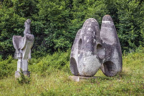 Magura Rumunia Lipca 2019 Wystawa Plenerowa Obozie Rzeźb Magura Pobliżu — Zdjęcie stockowe