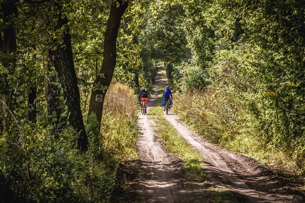 Ornowo Polonya Eylül 2019 Ostroda County Warmia Mazury Bölgesinde Toz — Stok fotoğraf