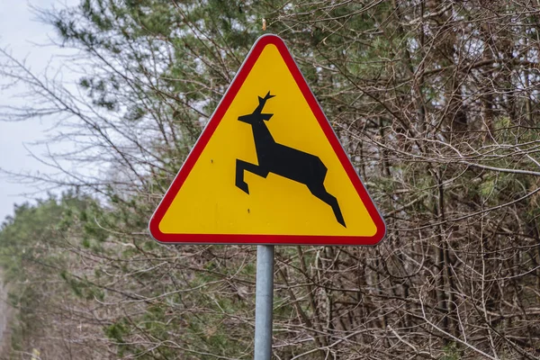 Tanda Peringatan Deer Crossing Jalan Masovia Wilayah Polandia — Stok Foto
