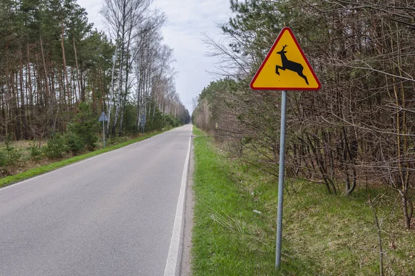 Tanda Peringatan Deer Crossing Jalan Masovia Wilayah Polandia — Stok Foto