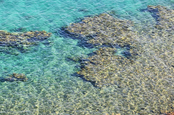 タバのサンゴ礁 — ストック写真