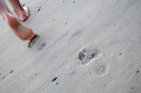 Caminata de playa — Foto de Stock