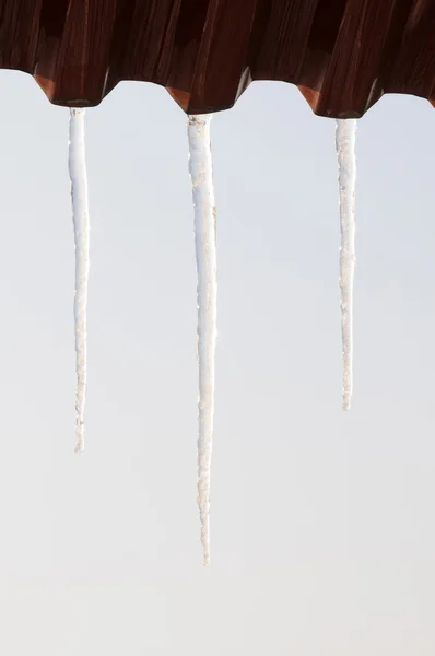 Icicles — Stock fotografie