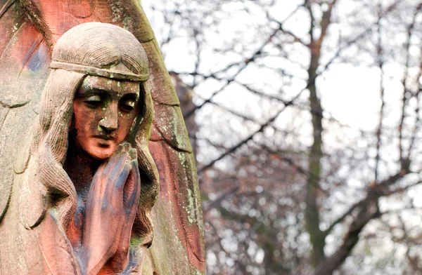 Old Powazki Cemetery — Stock Photo, Image