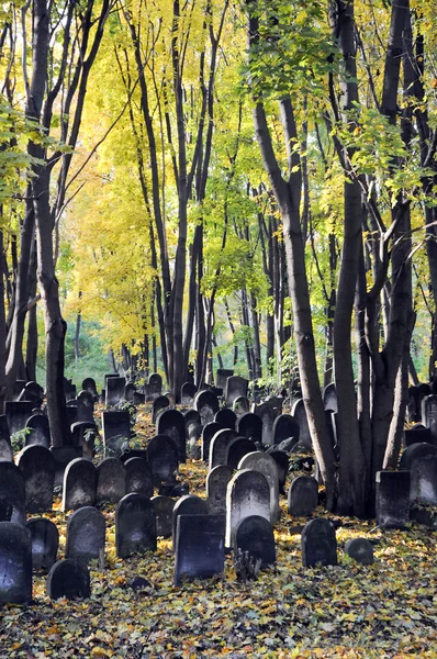 Cimitero ebraico — Foto Stock