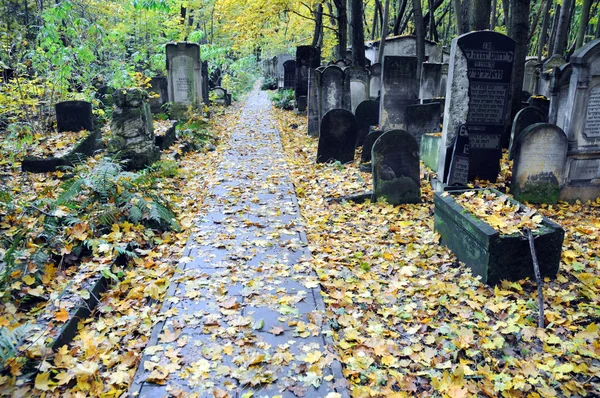 Cimitero ebraico — Foto Stock