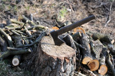 axe in stump clipart