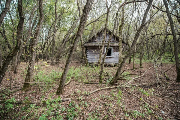 Dorp in Tsjernobyl-zone — Stockfoto