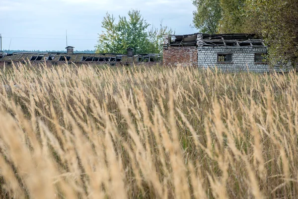 Tsjernobyl zone — Stockfoto