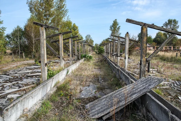 Zona de chernobil — Fotografia de Stock