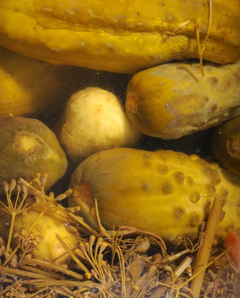 Pepinos en escabeche — Foto de Stock