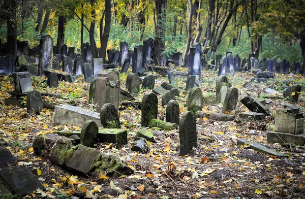 Joodse begraafplaats — Stockfoto