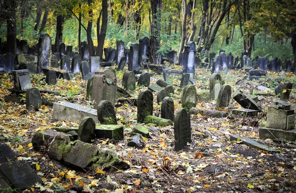 Cimitero ebraico — Foto Stock