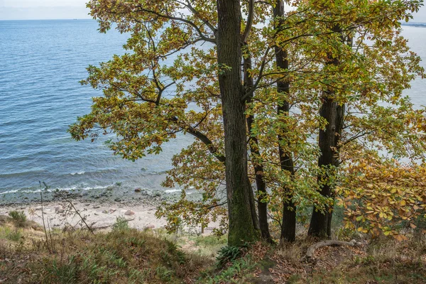 Hösten i Gdynia — Stockfoto