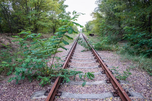 Černobylská zóna — Stock fotografie