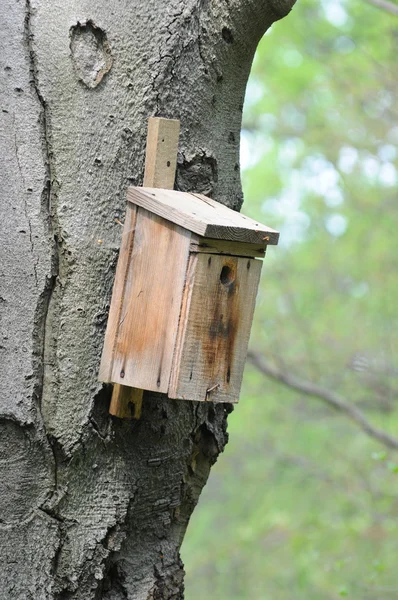 Mangeoire pour oiseaux — Photo