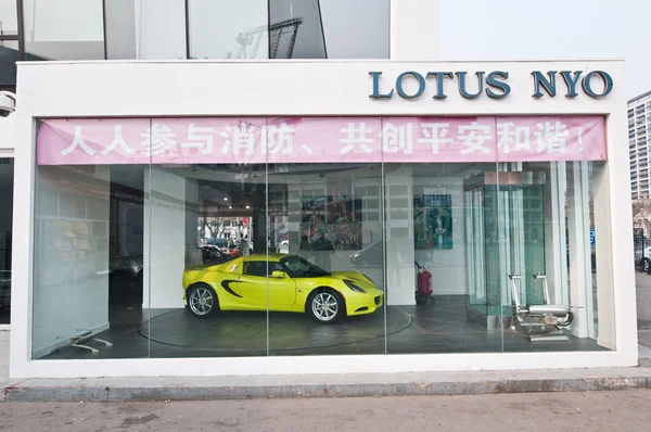 Lotus NYO — Stok fotoğraf