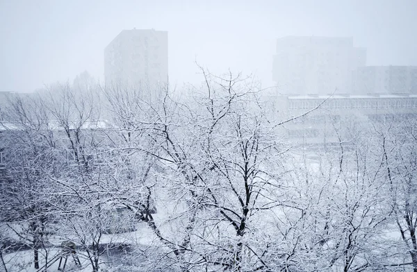 Inverno na cidade — Fotografia de Stock