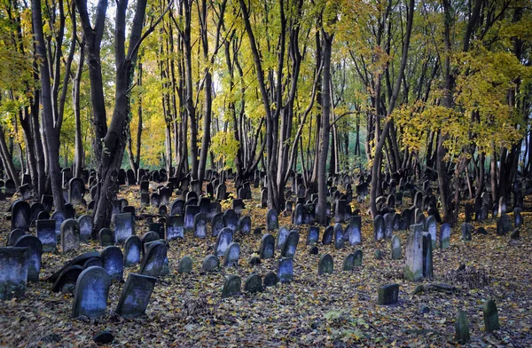 Jüdischer Friedhof — Stockfoto