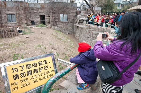 Beijing Zoo — Stockfoto