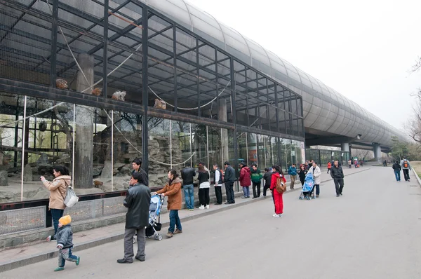 Zoo di Pechino — Foto Stock