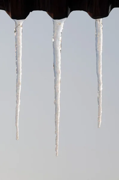 Icicles — Stock fotografie