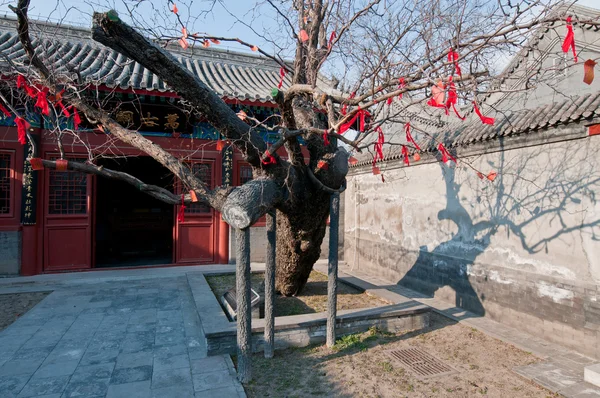 Wen Tianxiang temple — Stockfoto