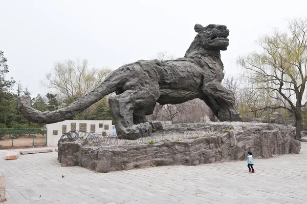 Beijing Zoo — Stock Photo, Image