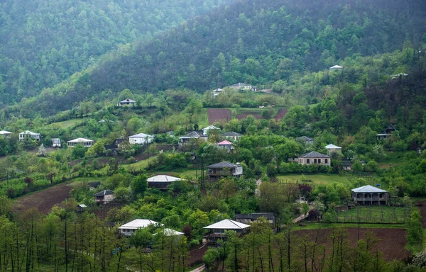 Τζόρτζια. — Φωτογραφία Αρχείου