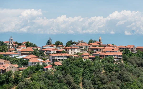 Sighnaghi 마을에서 보기 — 스톡 사진