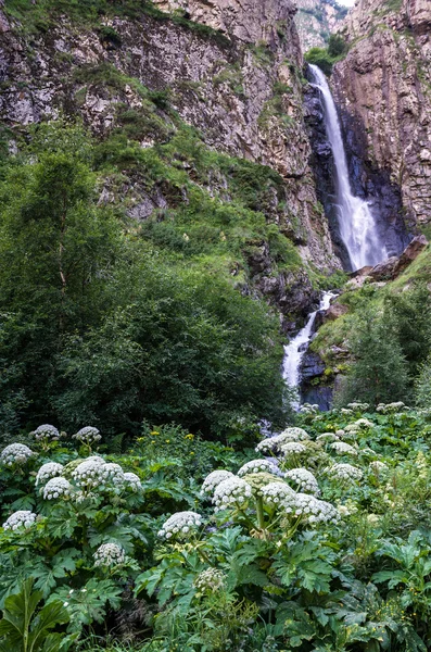 Montanhas em Geórgia — Fotografia de Stock