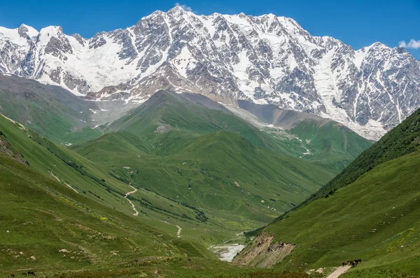 Ushguli in Georgia — Stock Photo, Image