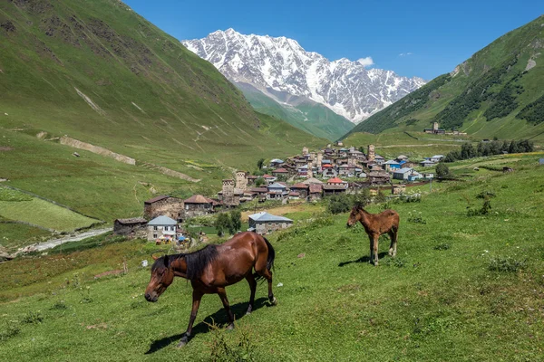 在佐治亚州的 Ushguli — 图库照片