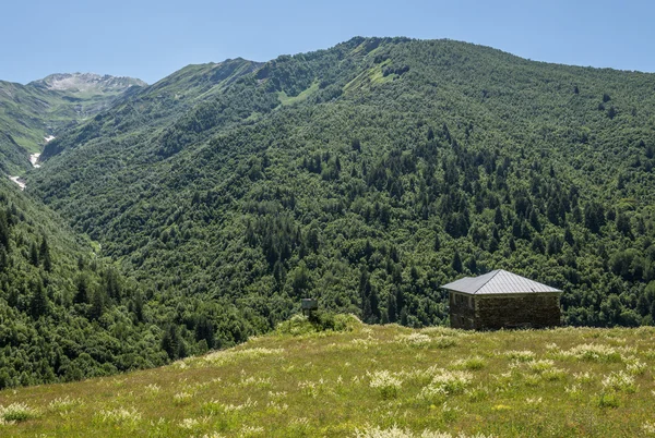 Weg naar Ushguli — Stockfoto