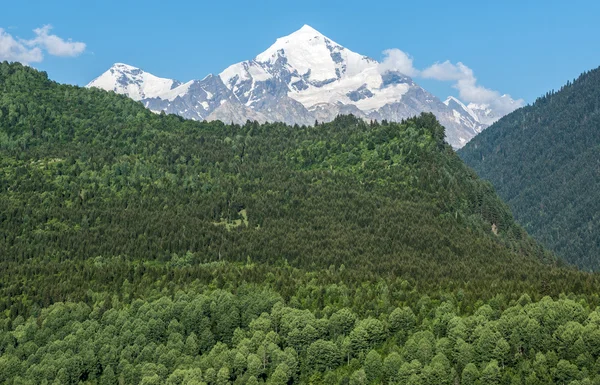 Gürcistan'daki Mount Tetnuldi — Stok fotoğraf