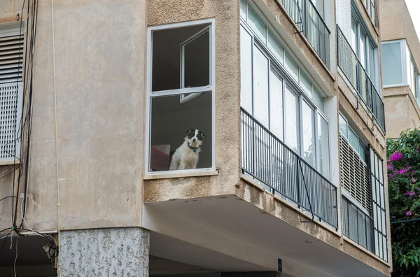 Tel Aviv mimarisi — Stok fotoğraf