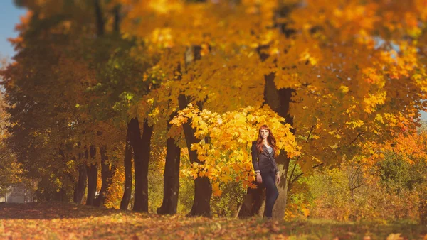 Hermosa mujer con el pelo rojo en el parque de otoño —  Fotos de Stock