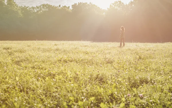 Silhueta de livre jovem mulher ao nascer do sol floresta fundo — Fotografia de Stock