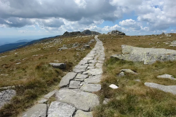 Strada sulla montagna Chopok . — Foto Stock