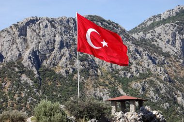 Türk bayrakları rüzgarda sallayarak.