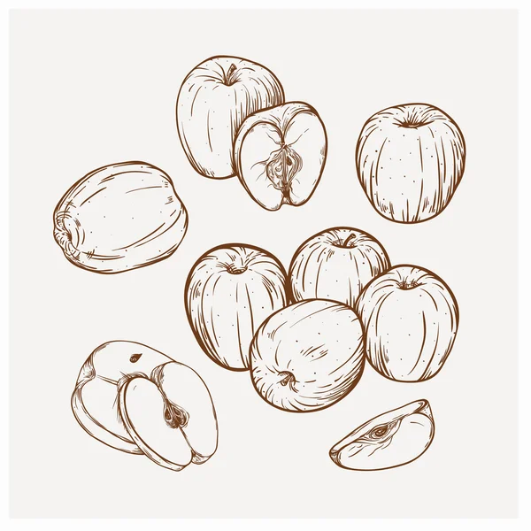 Illustrazione set di mele disegno Golden delizioso . — Vettoriale Stock
