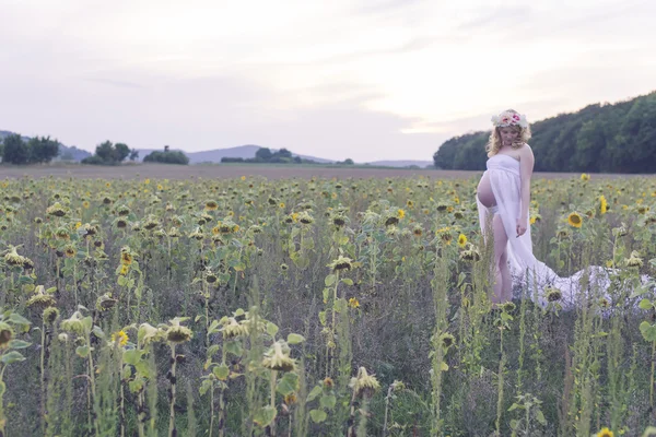 Enceinte jeune fille dans prairie de tournesols — Photo