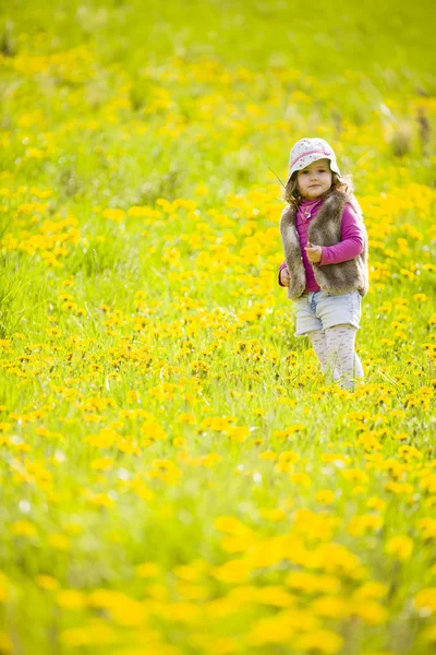 Sevimli kız dandilon çayırda