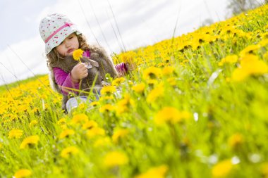 Sevimli kız dandilon çayırda