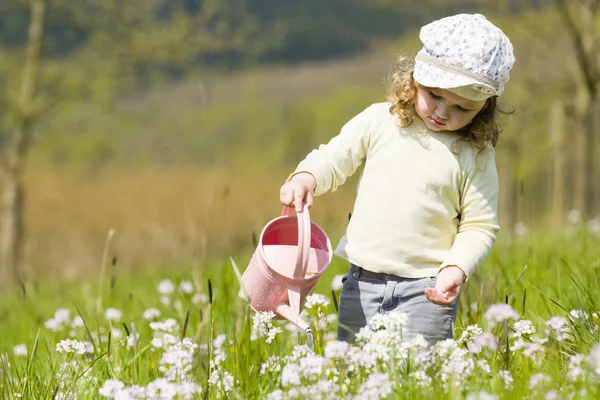 Carino ragazza in dandilon prato — Foto Stock