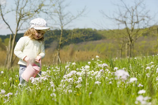 Carino ragazza in dandilon prato — Foto Stock