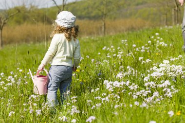 Sevimli kız dandilon çayırda
