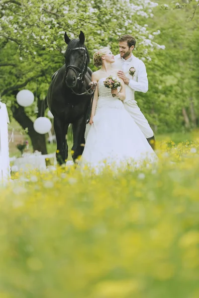 Jardim Casamento com cavalo — Fotografia de Stock